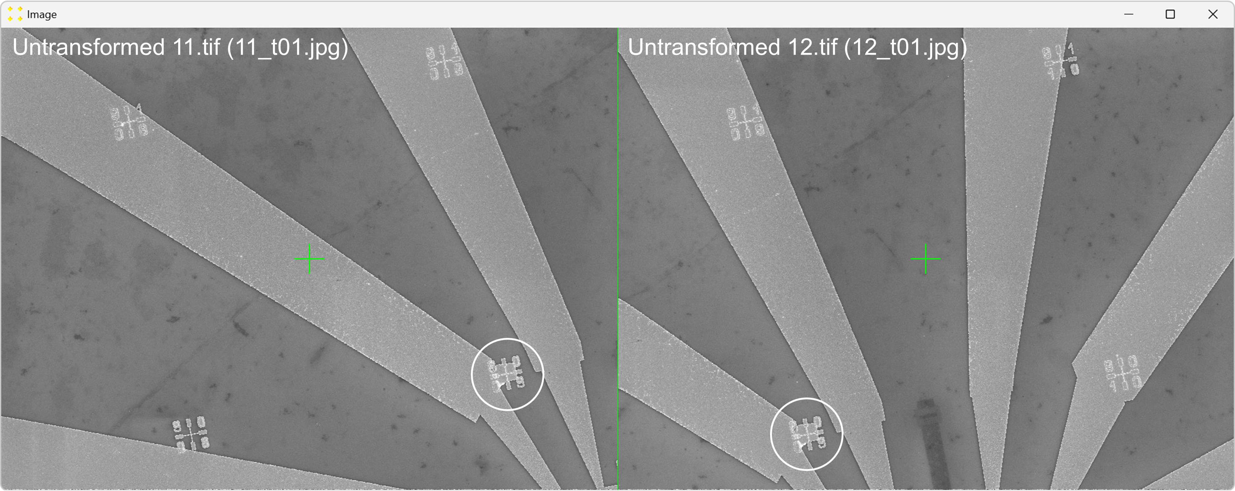 Identification of common features
