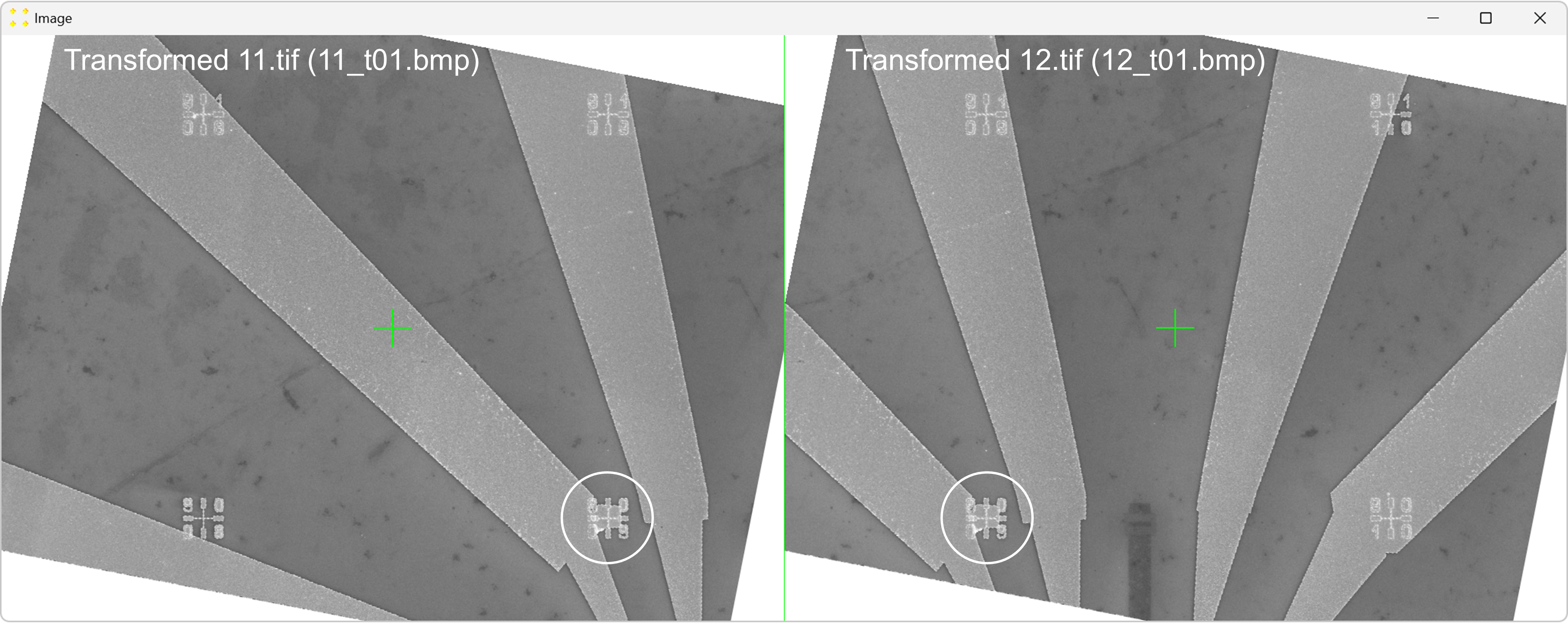 Identification of common features