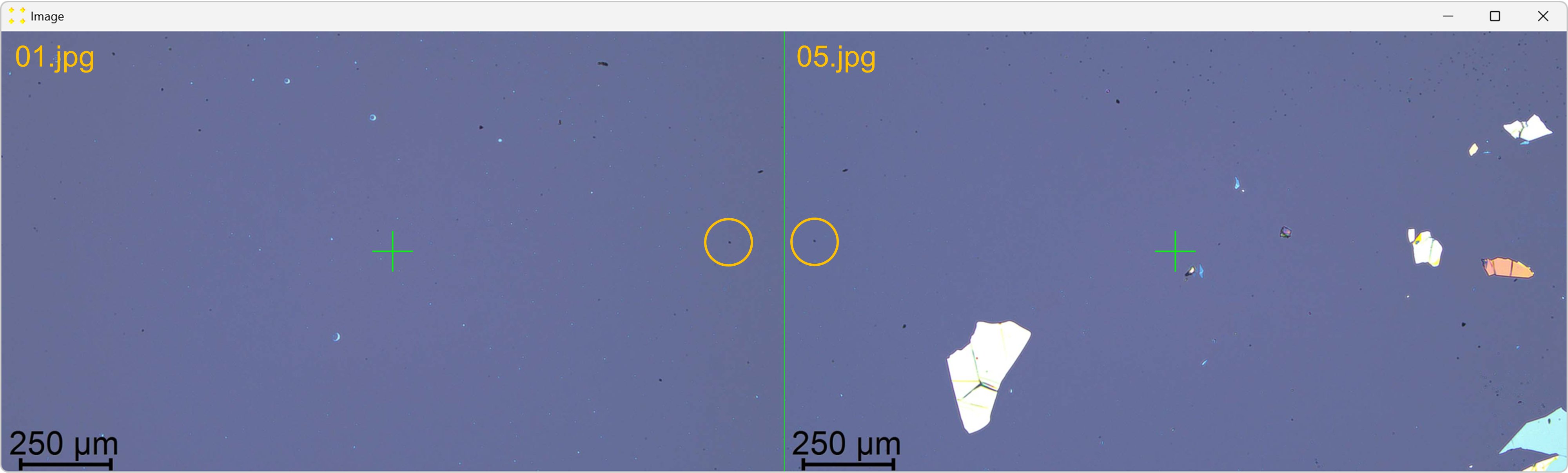 Identification of common features