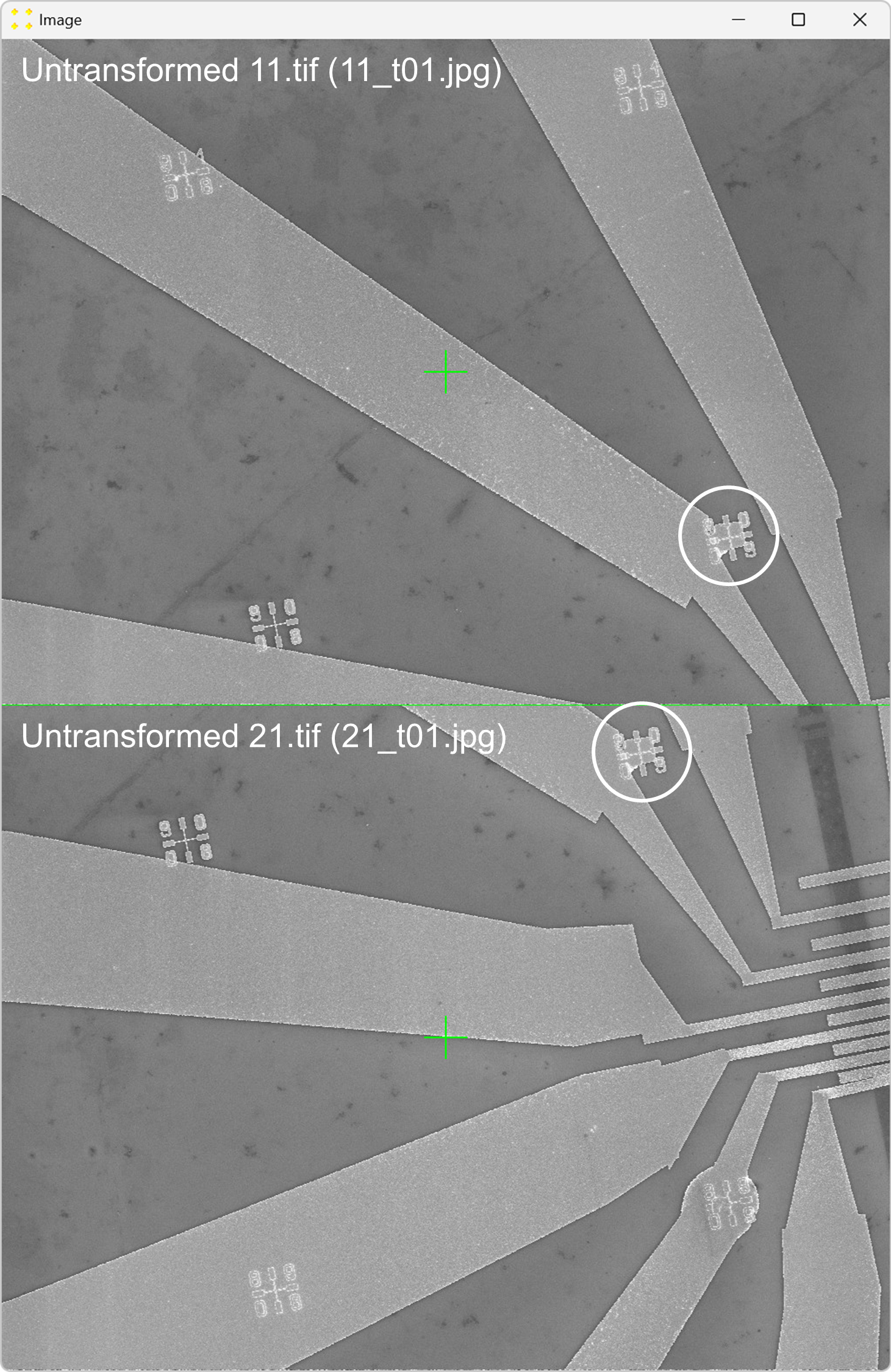 Identification of common features