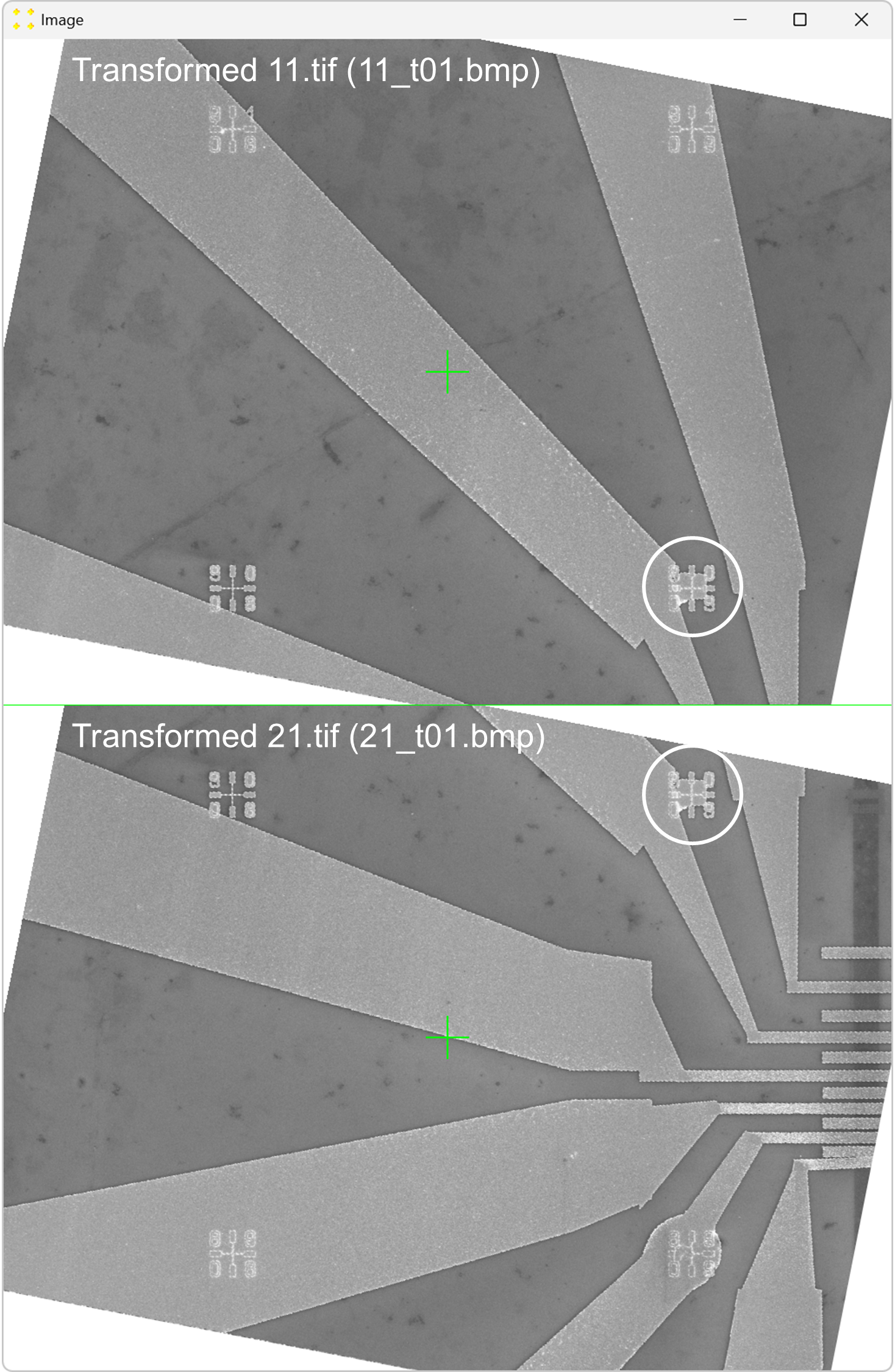 Identification of common features